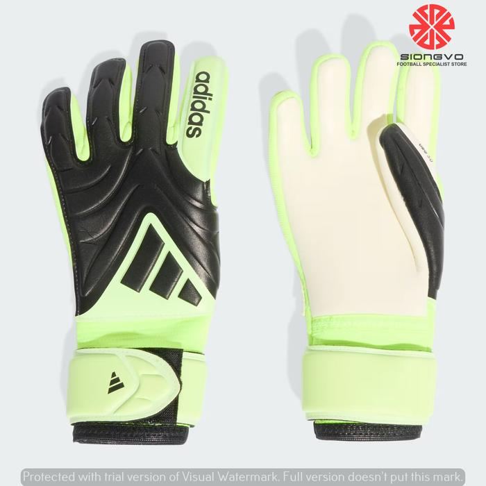SARUNG TANGAN KIPER ANAK - ADIDAS JUNIOR JR COPA LEAGUE NC NEGATIVE CUT x RADIANT BLAZE GK GLOVE JN5
