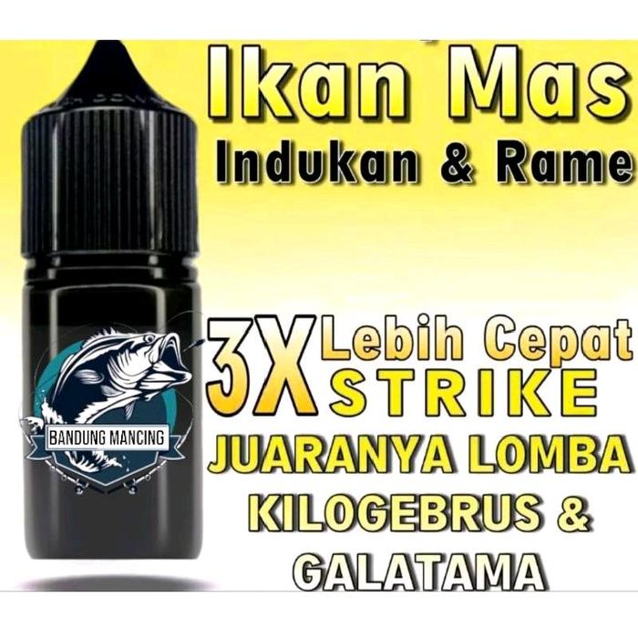 Essen Original Dari Getah Katilayu Asli Bisa Buat Mancing Ikan Mas Ikan Bawal Dan Ikan Nila Essen Ka