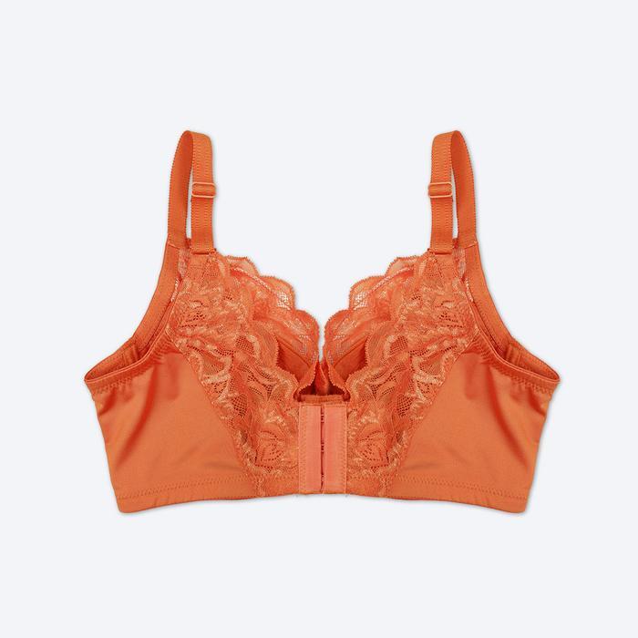 The Brahouse Bra Full Cup B01-1412 - Cup C & D
