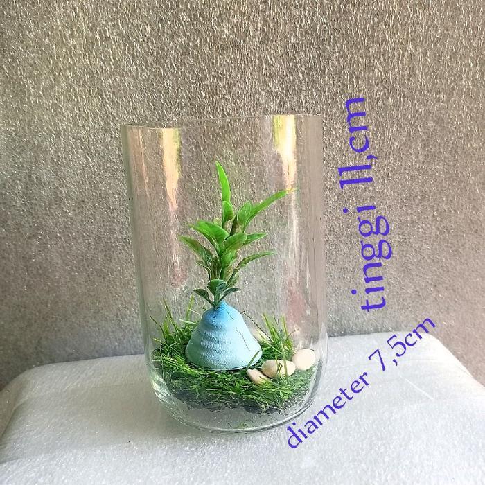 Botol kaca plus tanaman/botol ikan cupang/ikan hias/botol tabung_1pcs/wadah ikan/tempat ikan hias - 