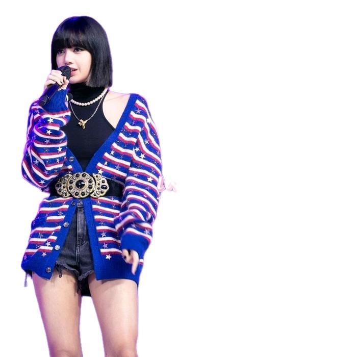 CELINE loose cardigan in embroidered lisa blackpink fans kpop