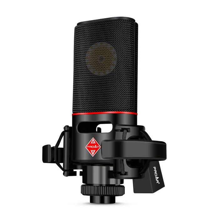 Professional XLR Condenser Microphone With 32mm Large Diaphragm