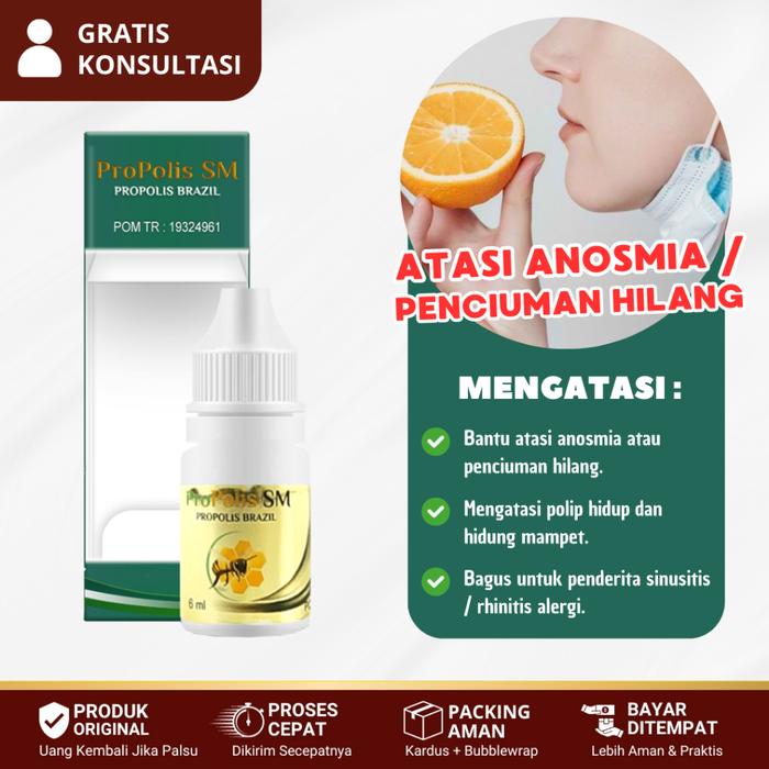 OBAT ANOSMIA, PENCIUMAN HILANG, HIDUNG TIDAK BISA MENCIUM BAU, HIDUNG TERSUMBAT - PROPOLIS SM
