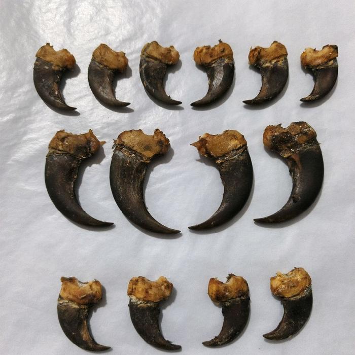 Aksesoris antik mainan kalung kuber atau liontin kuber