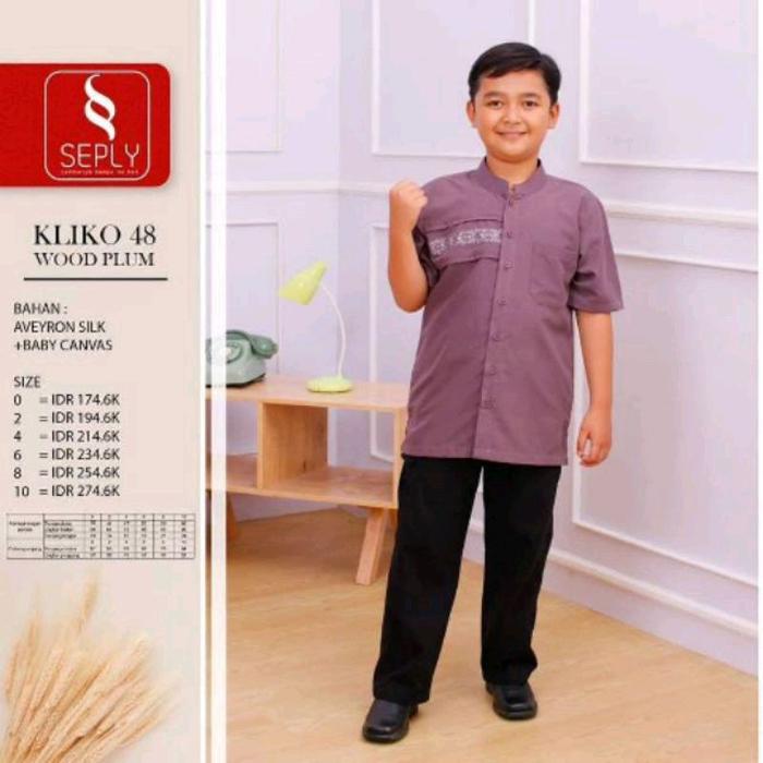 SEPLY KOKO ANAK KLIKO 48 WARNA WOODPLUM