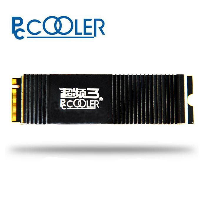 PCCOOLER  M.2  SSD M2 256gb PCIe NVME 128GB Solid State Drive 2280