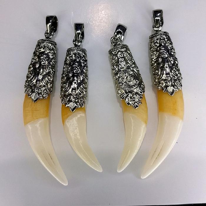 kalung liontin taring tarcan kumbang