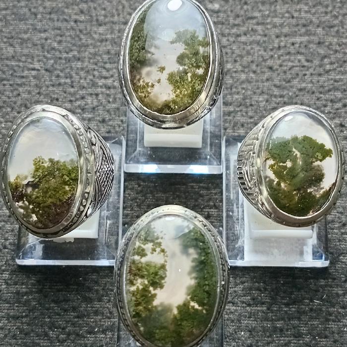 cincin lumut suliki/trenggalek Laki-laki