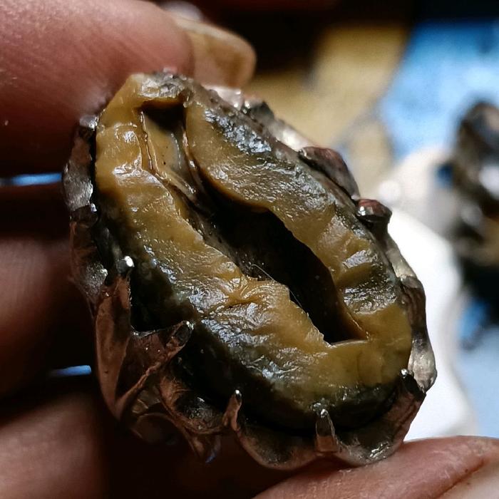 batu akik unik antik tundung bawuk lawasan