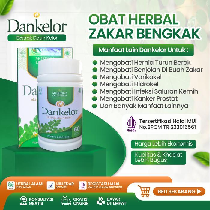Obat Buah Zakar Bengkak Orchitis Benjolan Di Kantong Buah Zakar Verikokel Hidrokel Hernia Nyeri Test