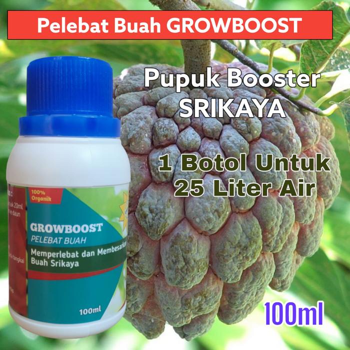 Pupuk Buah Srikaya Premium Organik GrowBoost Buah Srikaya 100ml