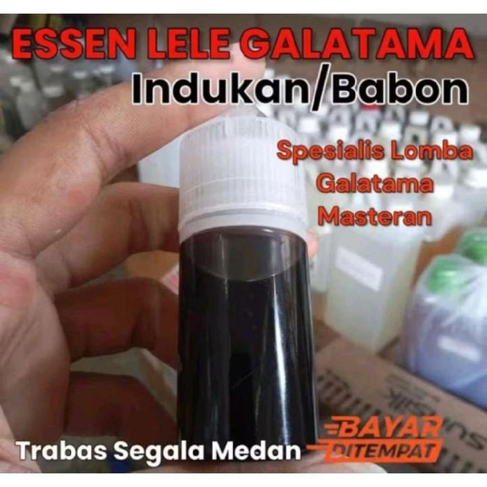Essen Ikan Lele Aroma daging Blenok Amis cocok di semua media umpan target babon dan totalan Paling 