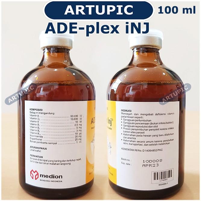 MENGOBATI FLU KUCING - FLU CAT 10CAPSULE - KAPSUL UNTUK FLU KITTEN