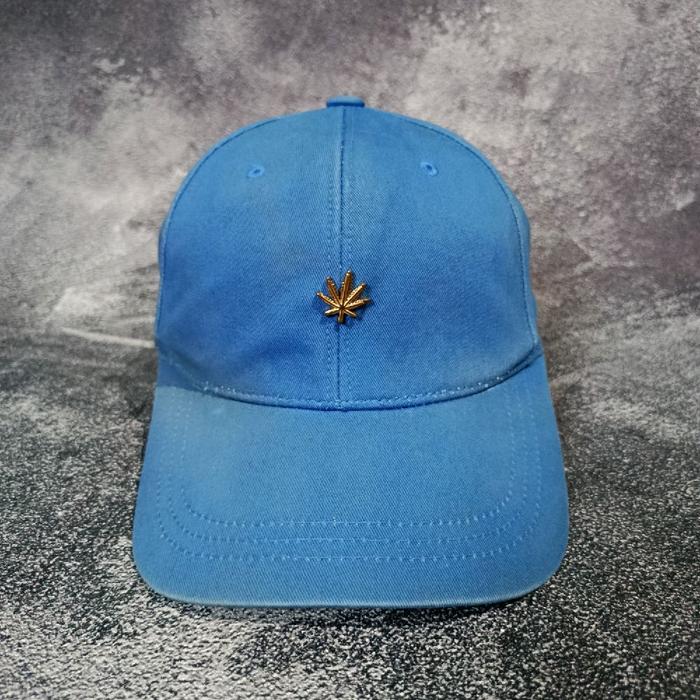 Digidegu Topi Hater Snapback Logo Daun Besi - Warna Biru