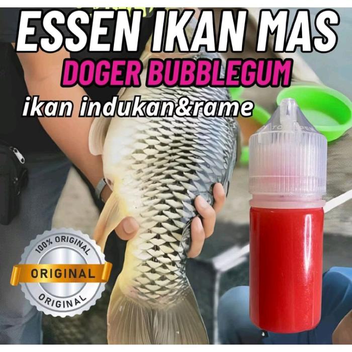 Essen ikan mas doger bubblegum spesialis ikan indukan rame essen ikan mas paling ampuh essen ikan ma
