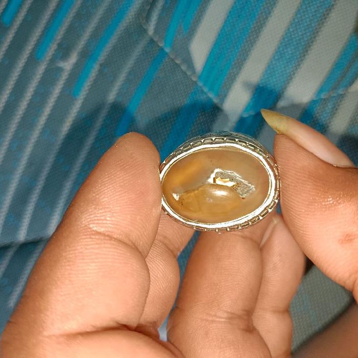 batu akik klanceng putih combong