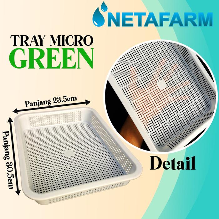 Tray Semai Microgreen - ( Hijau Putih + Tutup ) - 1 Pcs Berkualitas