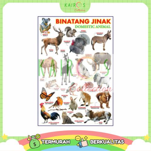 Poster Anak Edukasi - Binatang Jinak