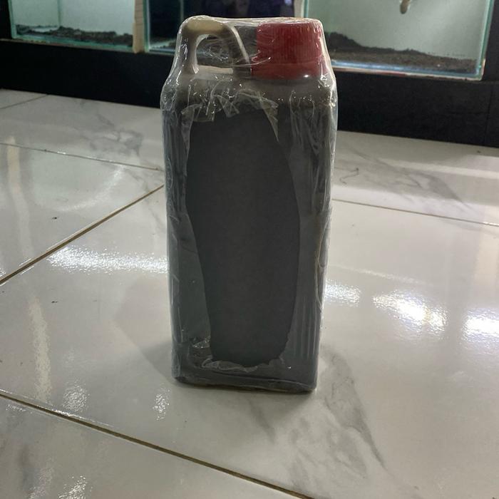 Air ketapang laut