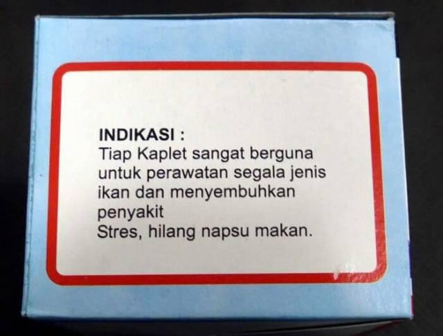 Suplemen Vitamin Ikan Channa Obat Probiotik Channa Mutasi Warna