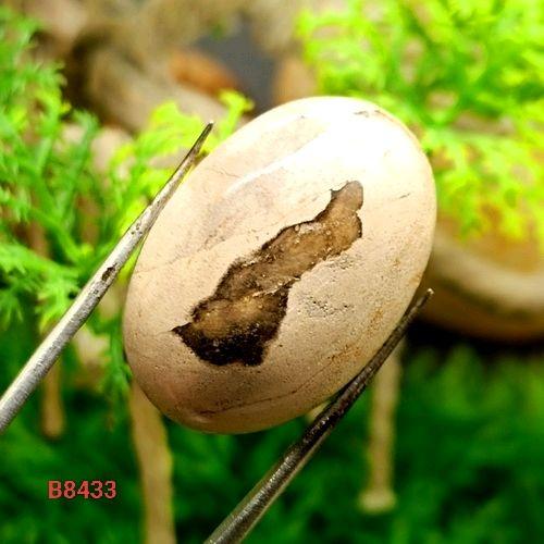 Musstika Langka Fosil Sero Energi Spiritual Hoki Memancing Ikan