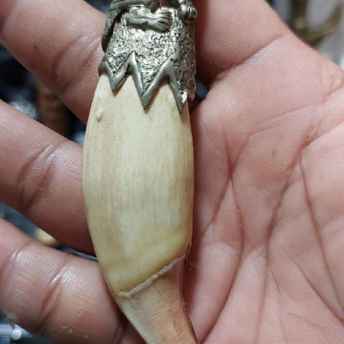 liontin kalung tarber