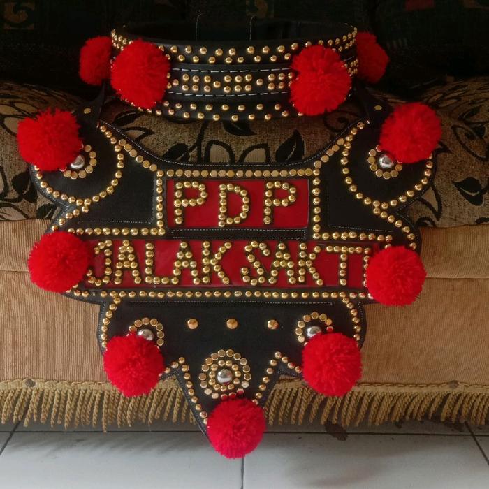 kalung domba adu Gongseng kulit free custom model dan nama