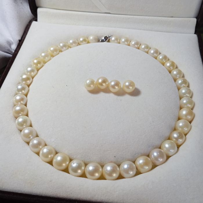 KALUNG MUTIARA LAUT | KALUNG MUTIARA AIR LAUT | KALUNG MUTIARA LOMBOK