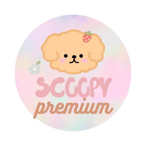 Mystery Premium Scoop Order by Scoopy Scoop