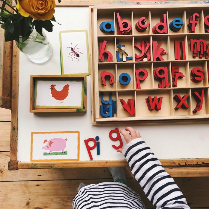 Montessori Language Materials Moveable Alphabets Box Montessori