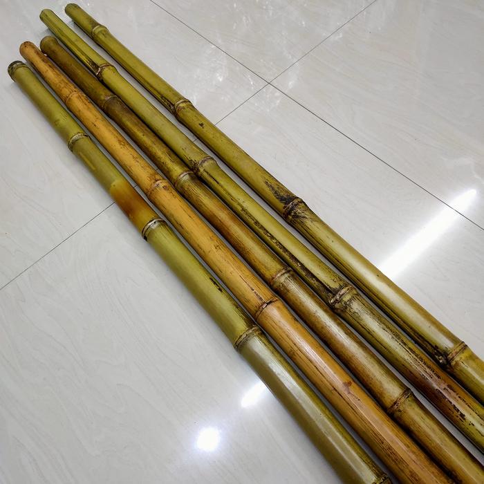 Tongkat Bambu Halus | Tongkat Bambu pramuka | Tongkat regu Pramuka