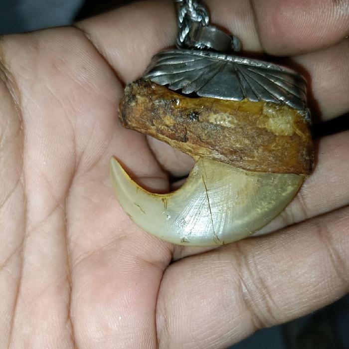 Kuku Harimau jumbo ngurak Kalung