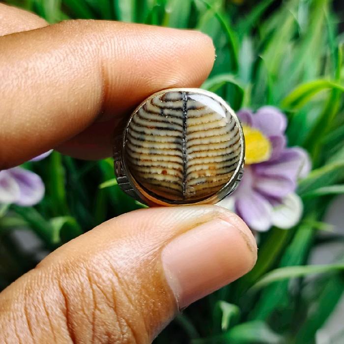 Cincin Batu Akik Jipen Sisik Ular, Pamor Blarak Sineret
