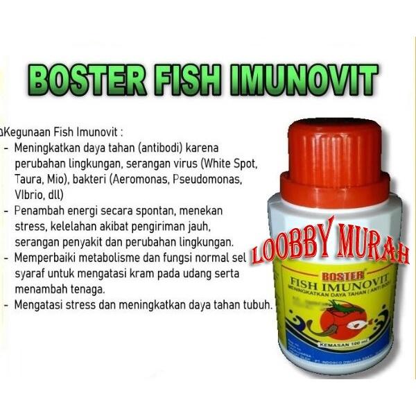 Boster Vitamin C Ascorbic Acid 100 gram Vitamin Obat Ikan Udang Hewan