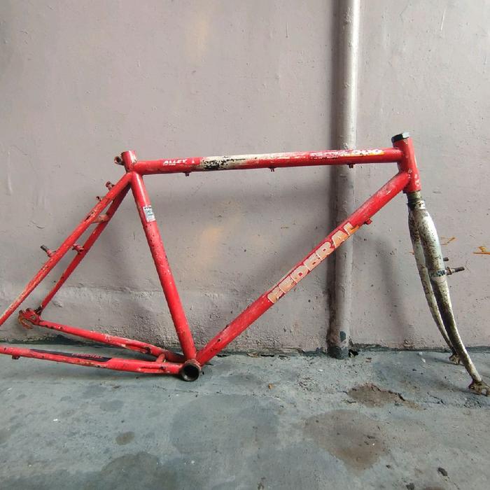 Frame Federal Alley Cat Size 19