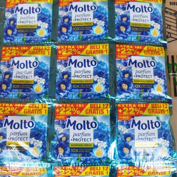 Molto Parfum Protect Morning Fresh 10X Lebih Segar satuan