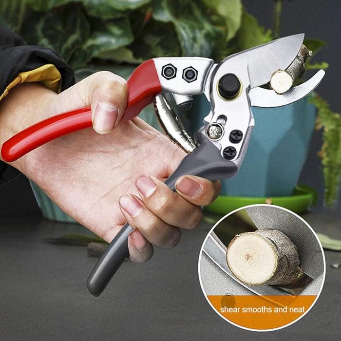 Gardening Branch Pruning Fruit Branch Pruning Multi-Standard Pruning