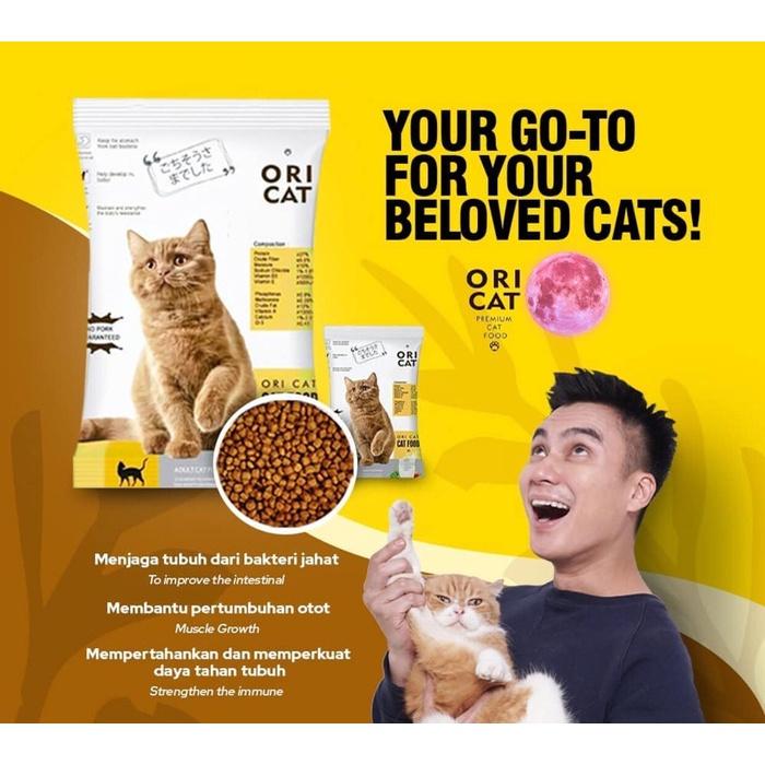 MAKANAN KUCING KERING 800GR/SNACK KUCING BASAH 1KG/SNACK BASAH 500G/PREMIUM CAT FOOD/Makanan Kucing 