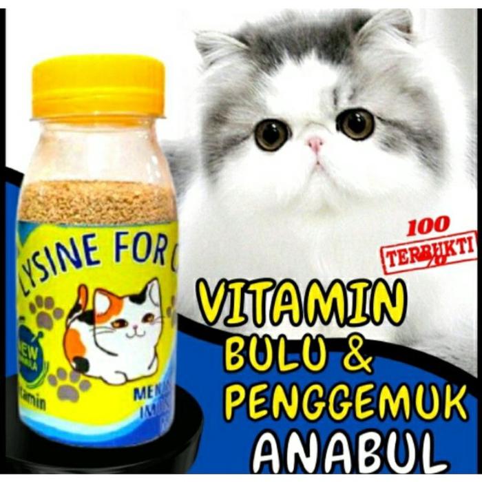 Vitamin B Kompleks 100 Ml vitamin injeksi untuk sapi kambing domba