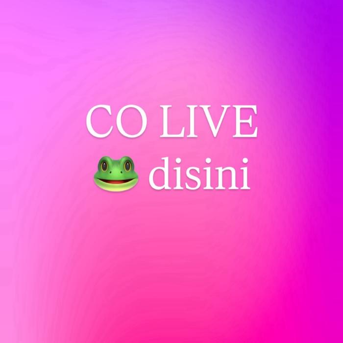 COLIVE kodok kodok disini