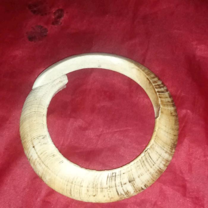 taring babi tarbi jumbo nguraak tua tarbi i  kalimantann kalung gelang pria