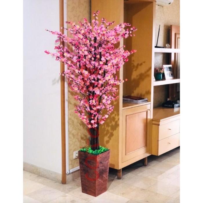> Pohon Imlek Meihua Sincia Angpao Sakura Xincia Tanaman Pot Bunga Mehwa RR