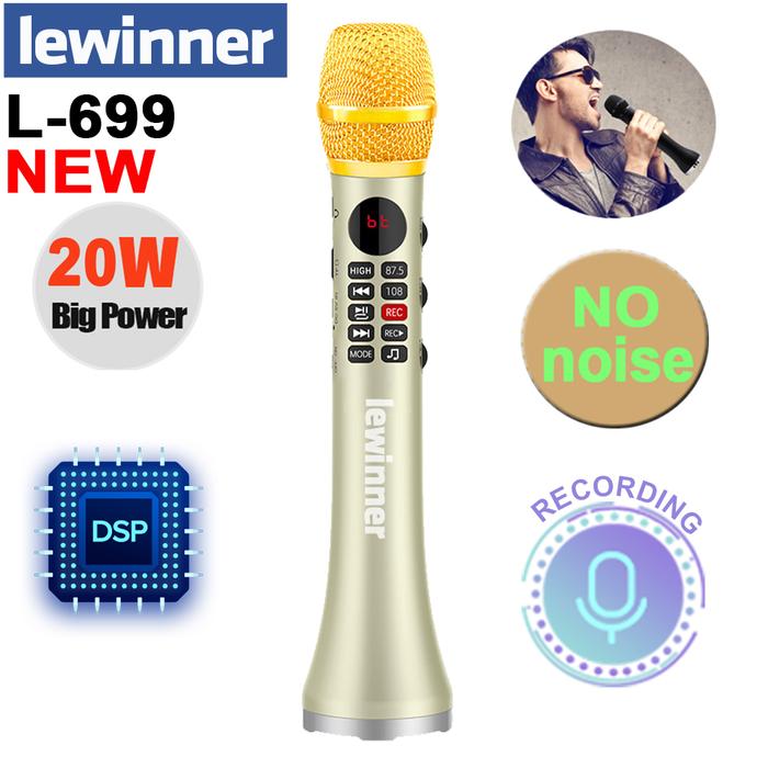 Lewinner Microphone Wireless Professional Karaoke Microphone