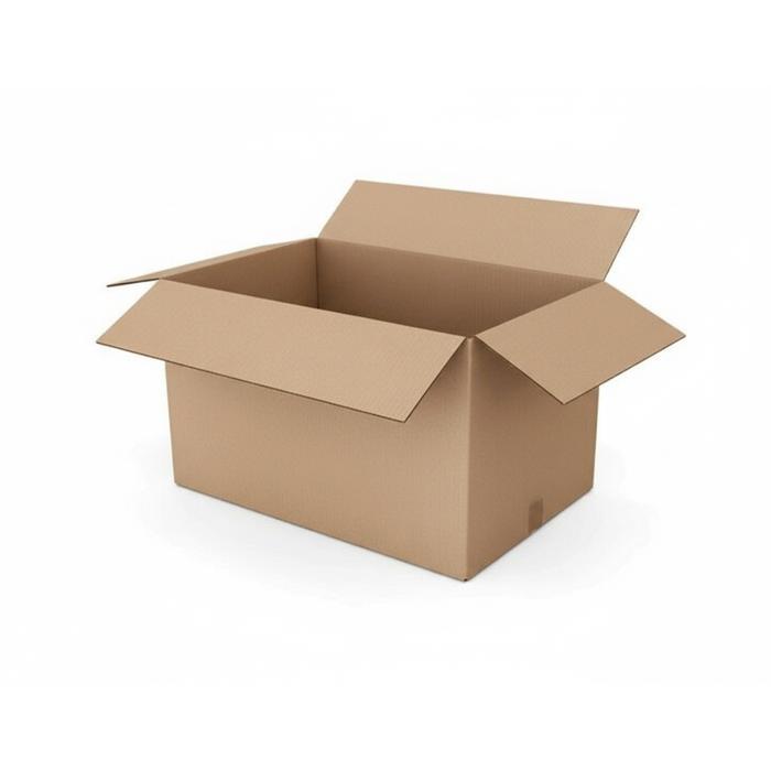 DOUBLE / EXTRA BOX ( SAFETY PACKING )