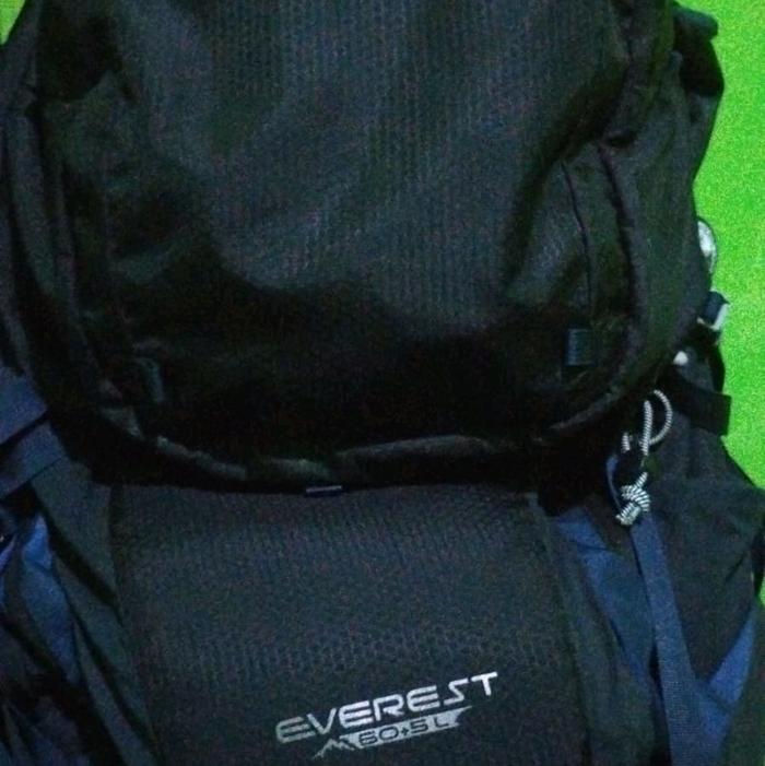 carrier consina everest gen3 2025