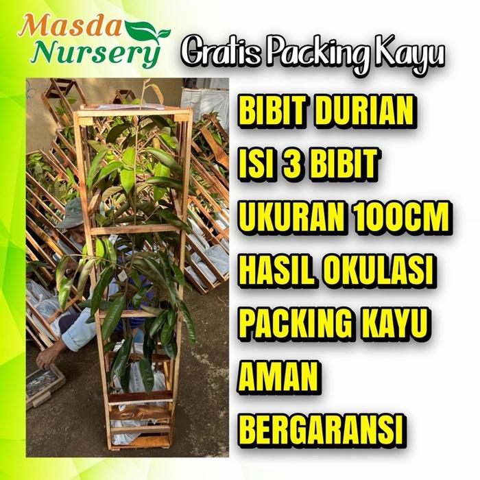 KOTAK KAYU ISI 3 BBIT DU-RIYANN LENGKAP - Musangking, Bawor, Duri Hitam