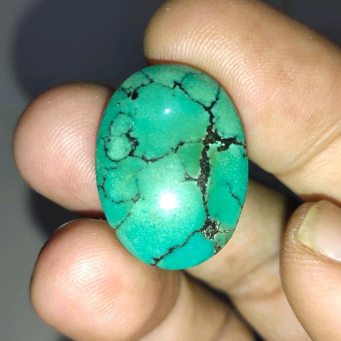 natural pirus hijau gradasi hubei