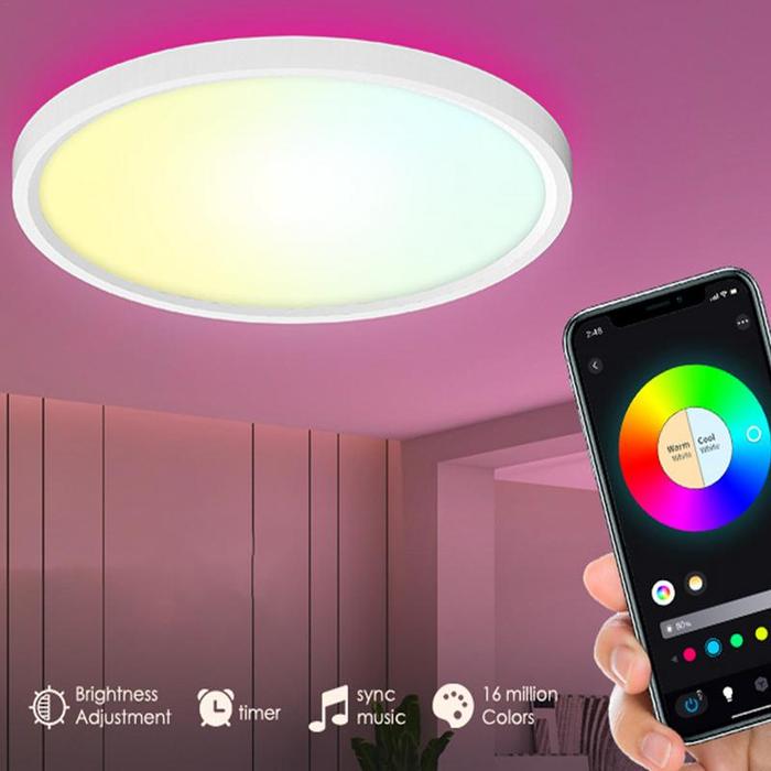 LED Ceiling Light Flush Mount Voice Control Ceiling Hallway Light Fixtures 12 Inch Ceiling Lamp Dimm