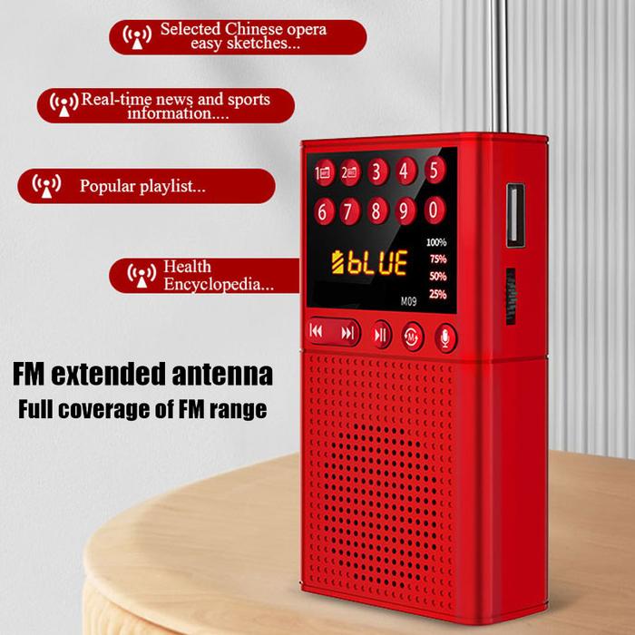 Mini Portable FM Radio Wireless Bluetooth Speaker MP3 Music Player