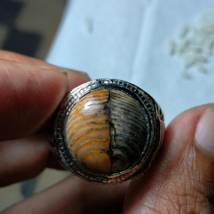 Batu cincin jipen khas madura natural istimewah